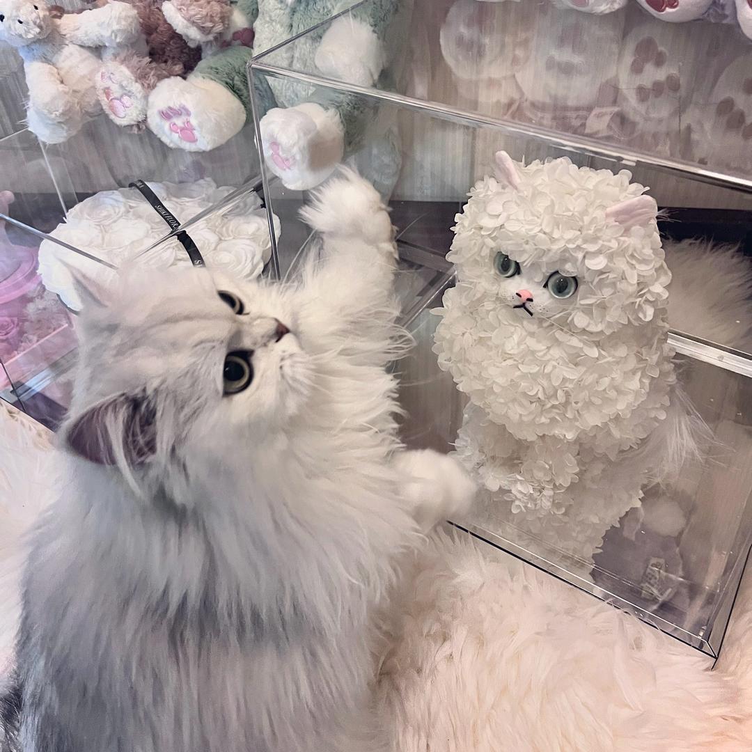 把你吃掉