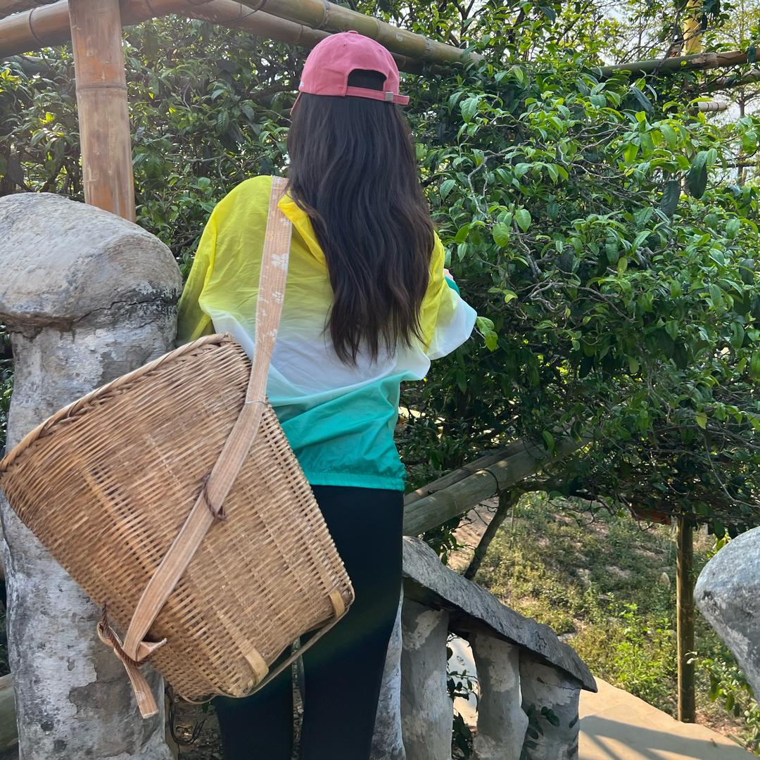 茗战甄选