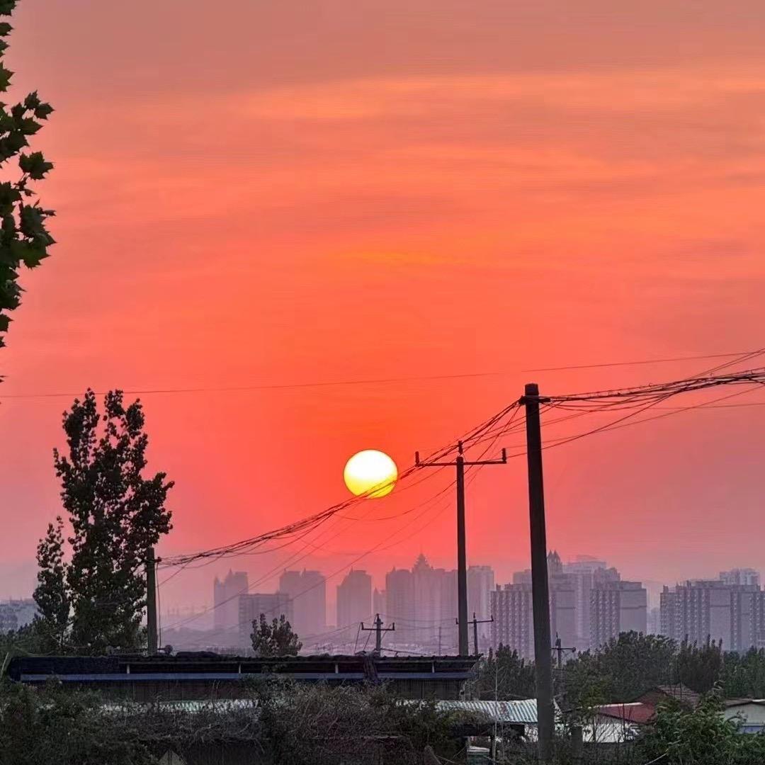 一亩叁分甜✔️