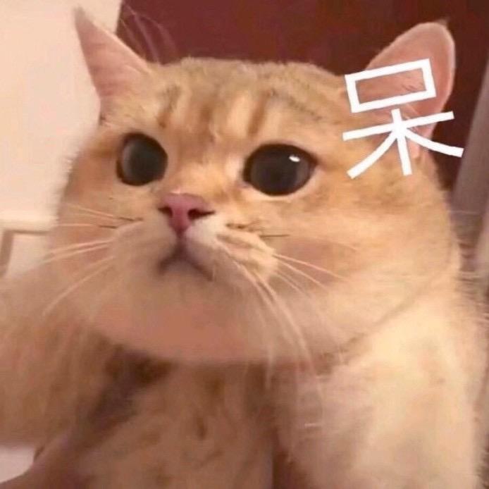 🌧️🌧️🌧️