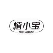 植小宝