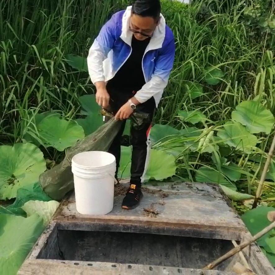 湖边行