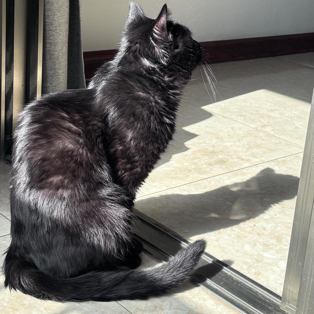 艺品佳门窗北方代工厂