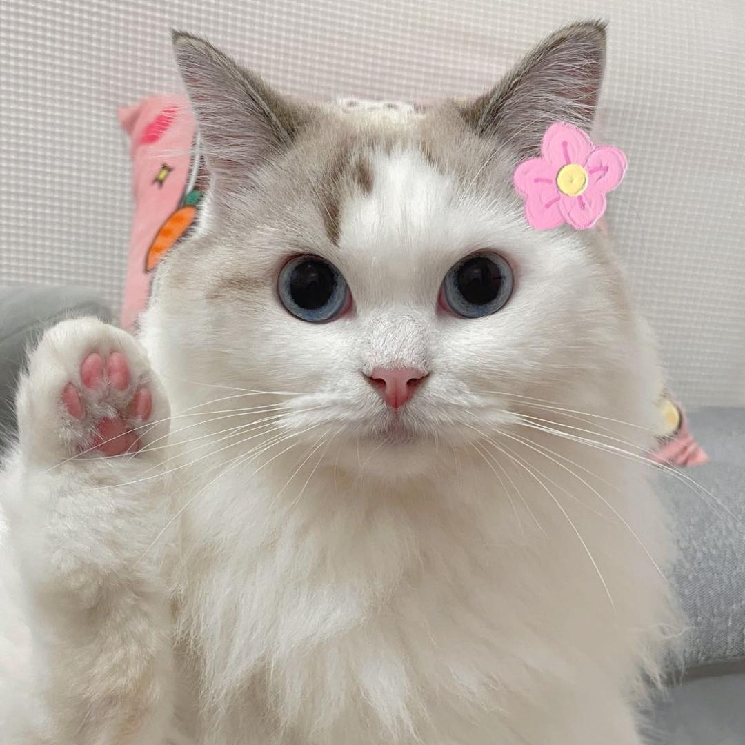 水也三金晶头像