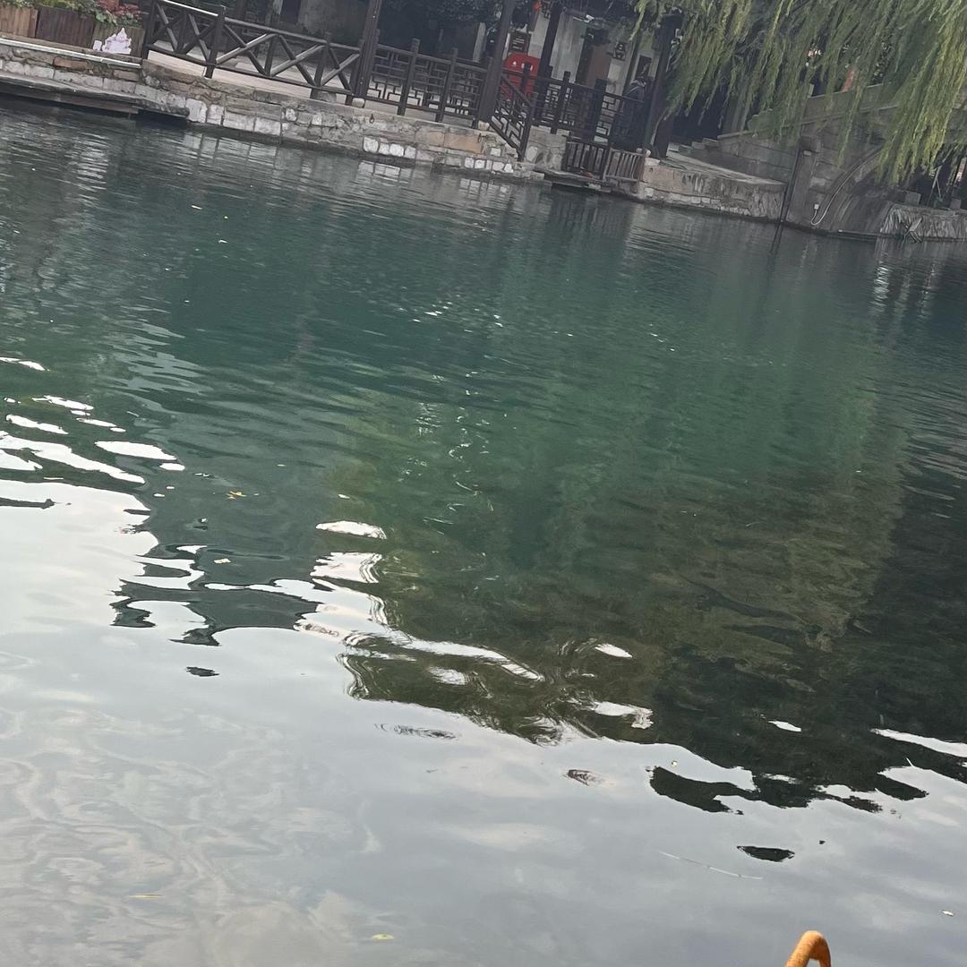 @燕鸥