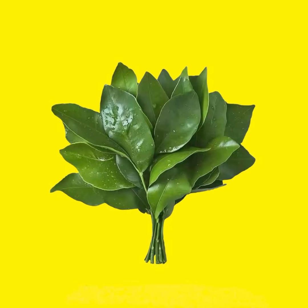 小雨转情