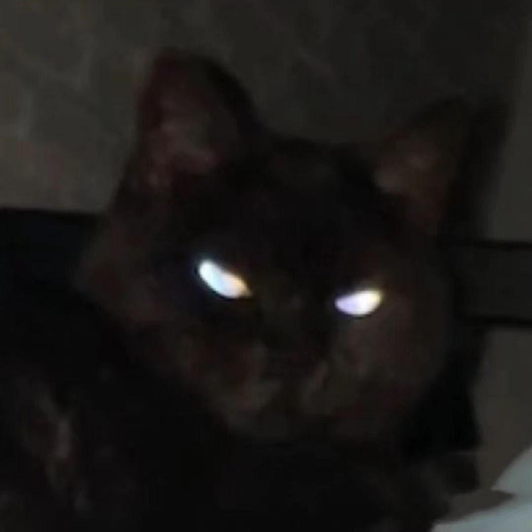 秋