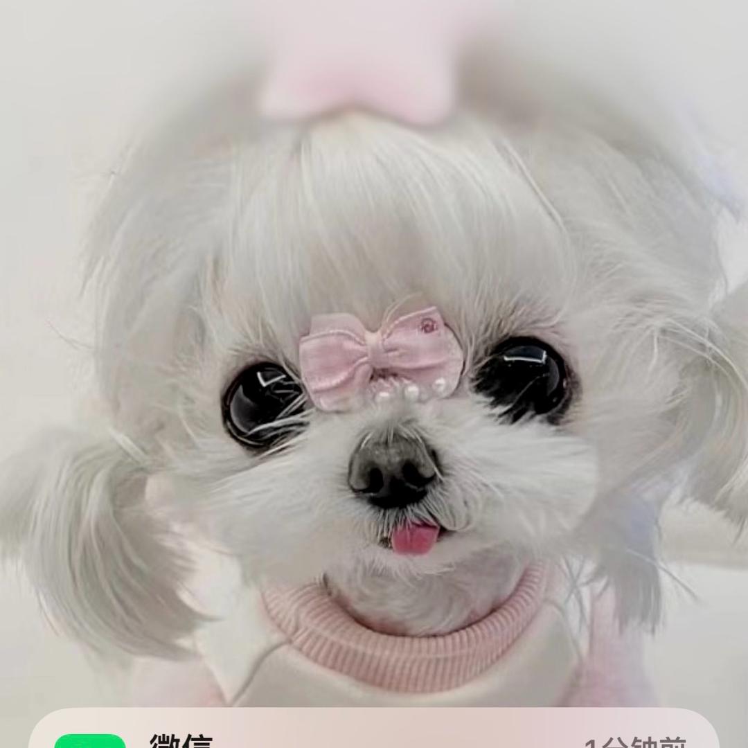 ❤️小丽吖