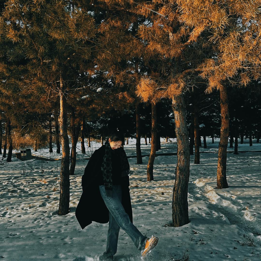 李.