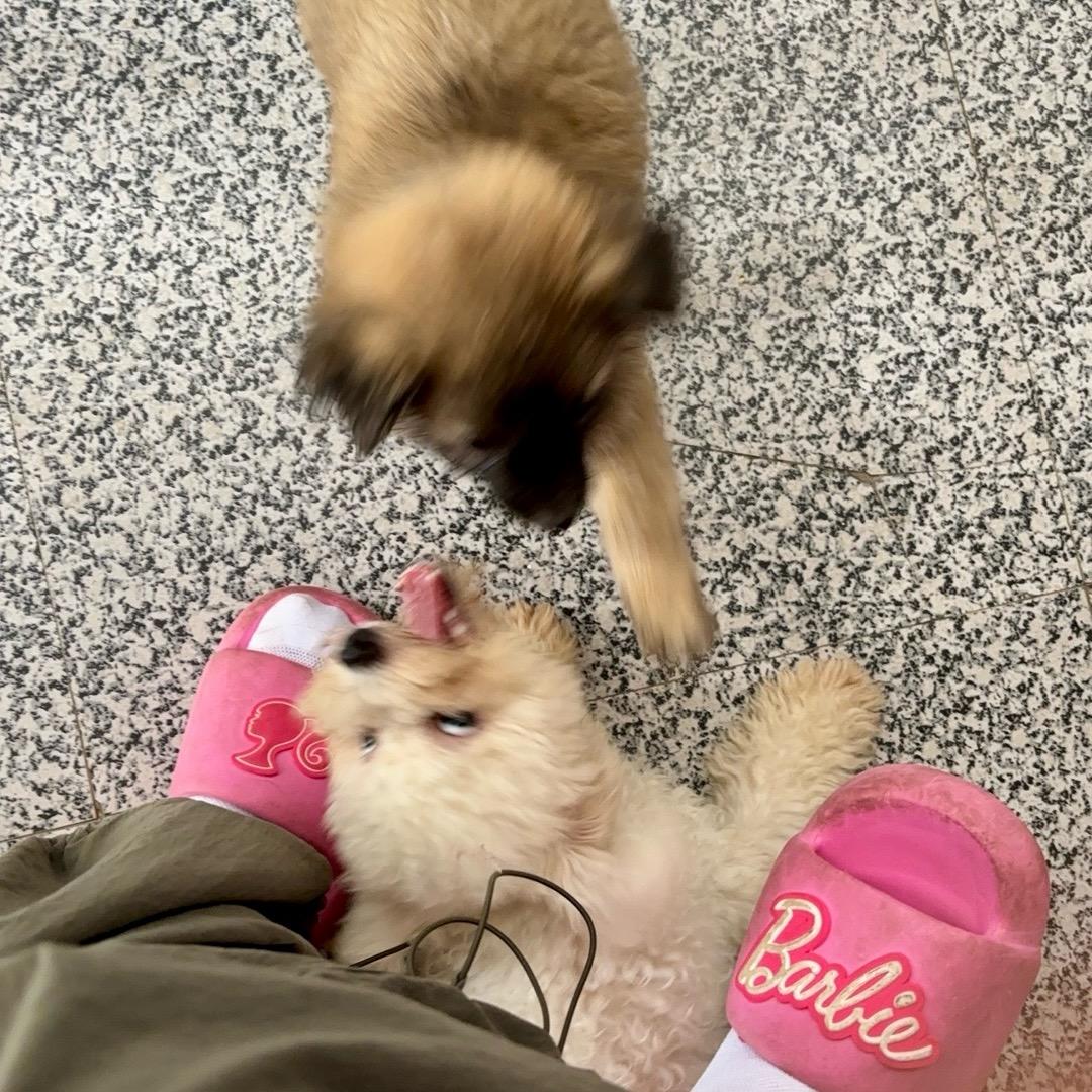开心