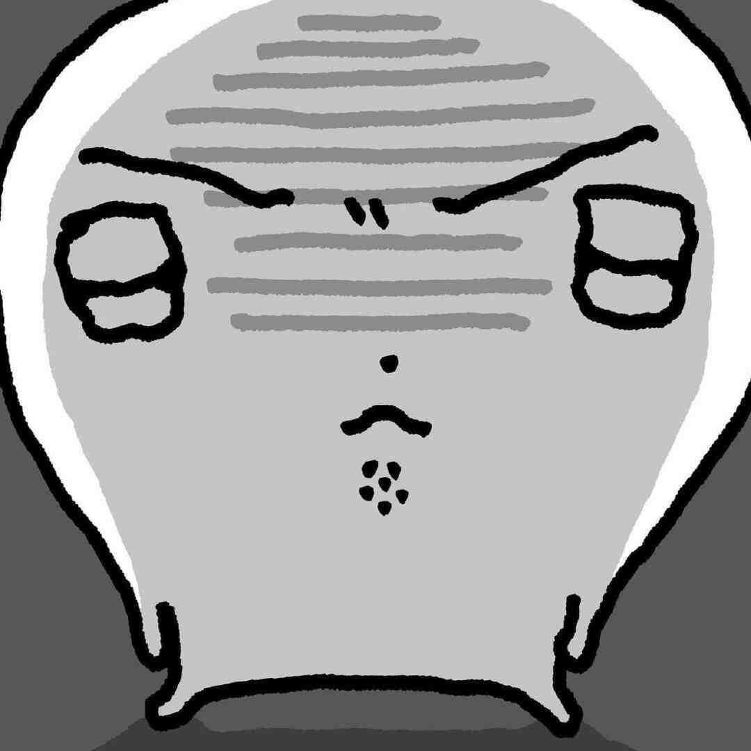 南烛NZ
