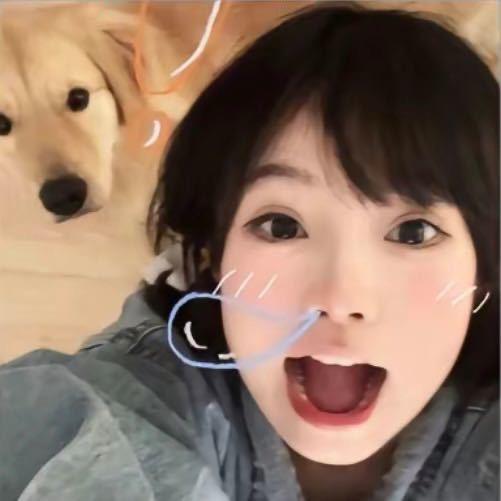 小珂 🐑