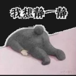 ʚ雅静ɞིྀ