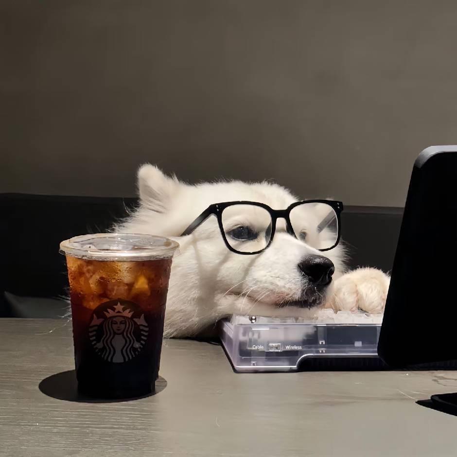 逸风（三角洲）