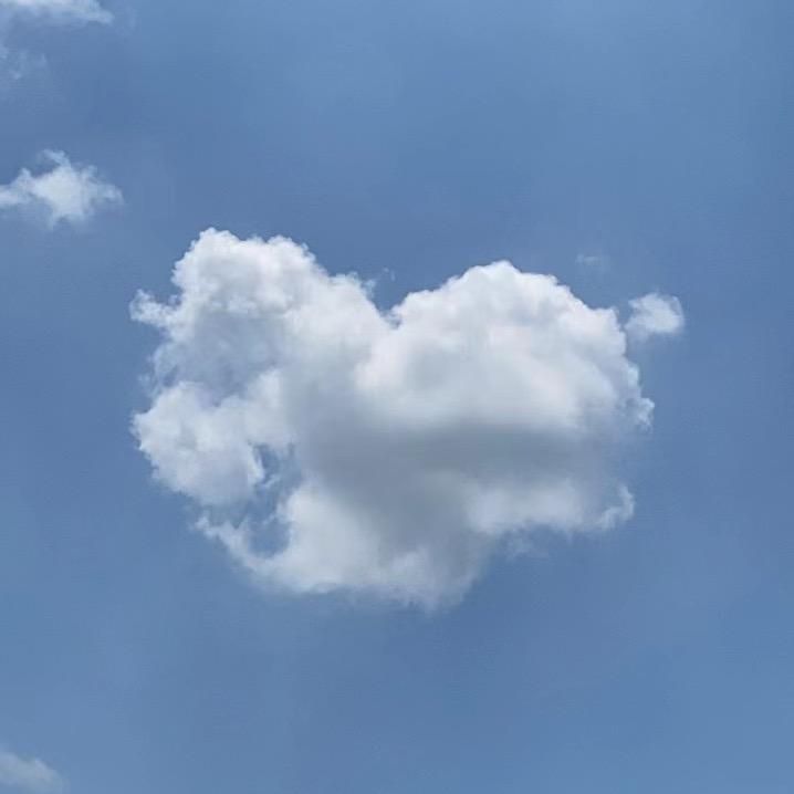 潍坊潍城区丘丘宠物用品店（个体工商户）