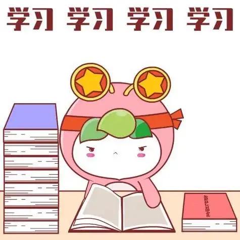 小琴学姐学习⛽️