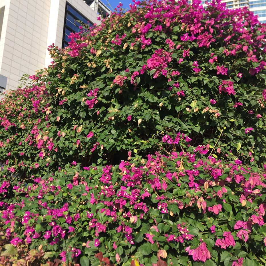 浪子回头金不换