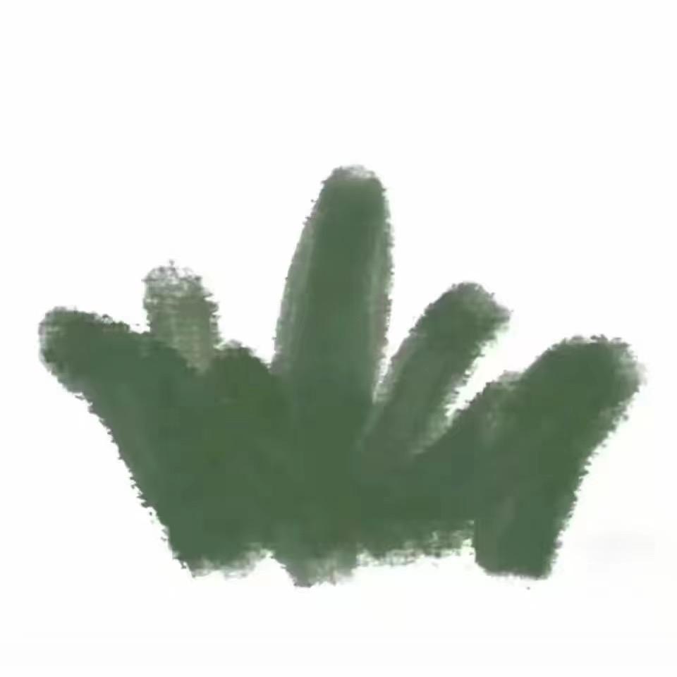 时光坊富贵竹基地