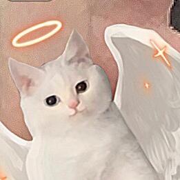 rap天使小猫版）