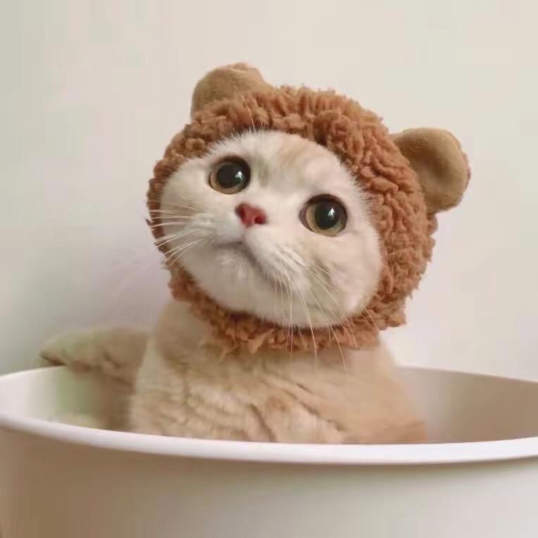 不想情绪化💕