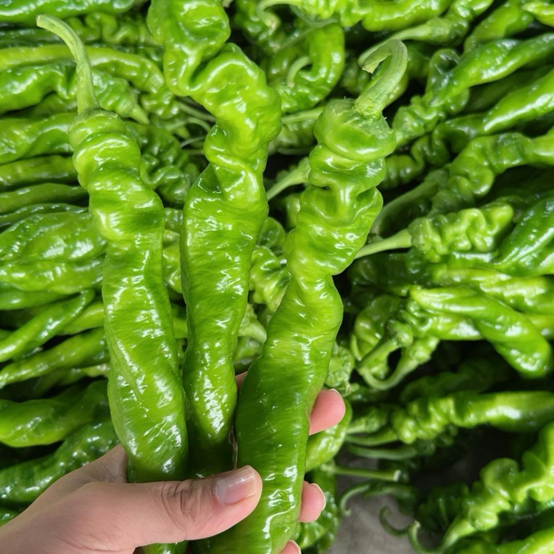 陕西农产品购销