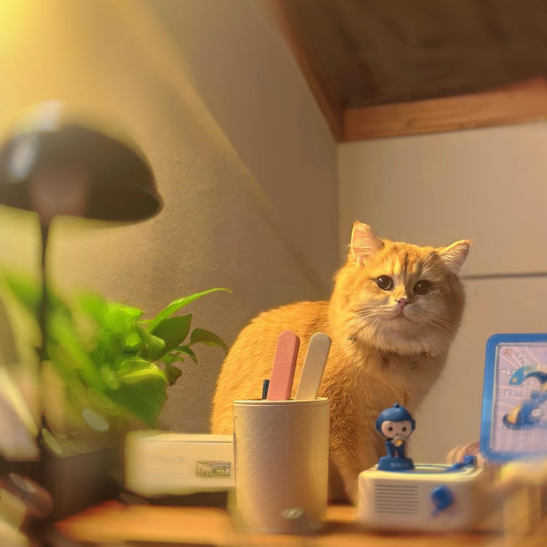 🐟遇见