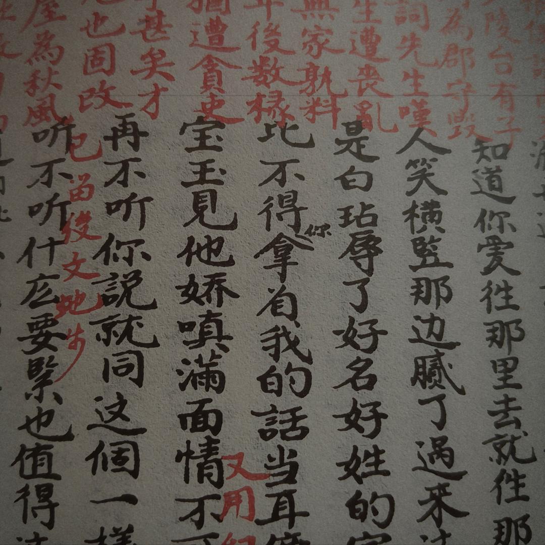 善悟居士