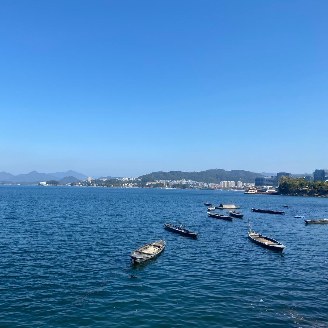 z没那么简单