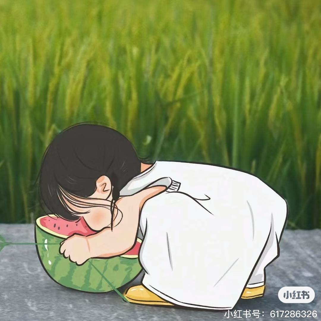 大灰狼女装服饰