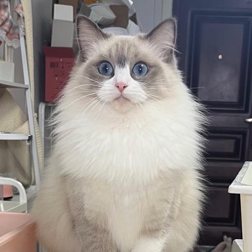 我在大润发杀了十年鱼