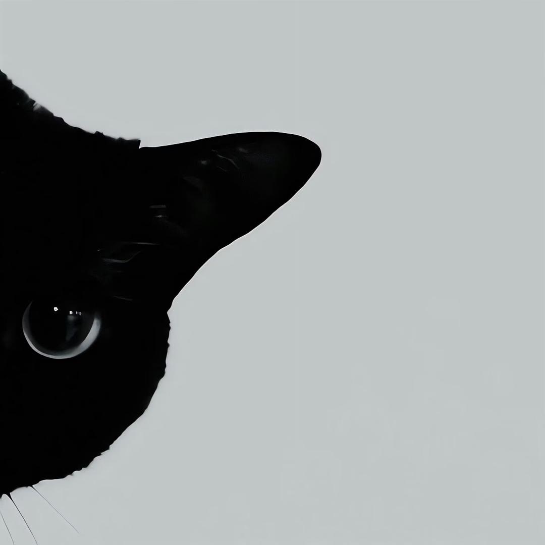 吃药都拿咖啡送