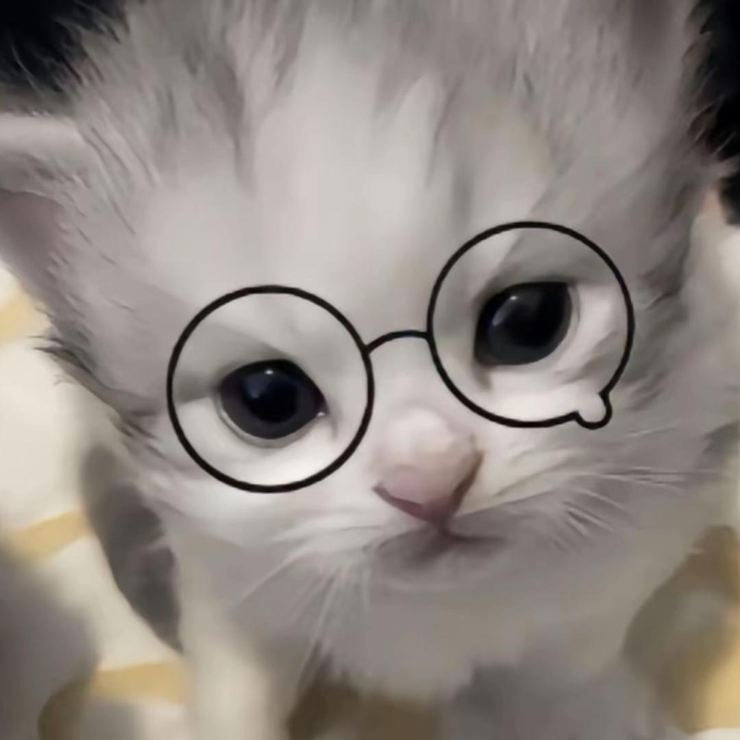 滞留于7