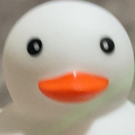 跟吃吃吃生菜一样
