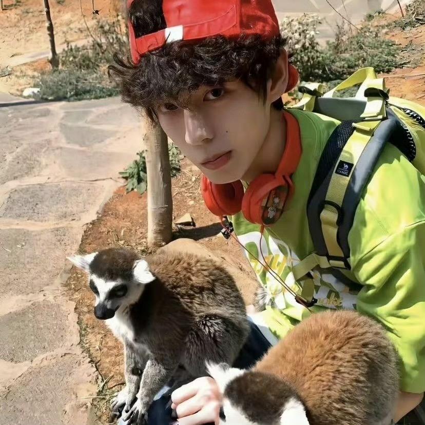 Lucky dog