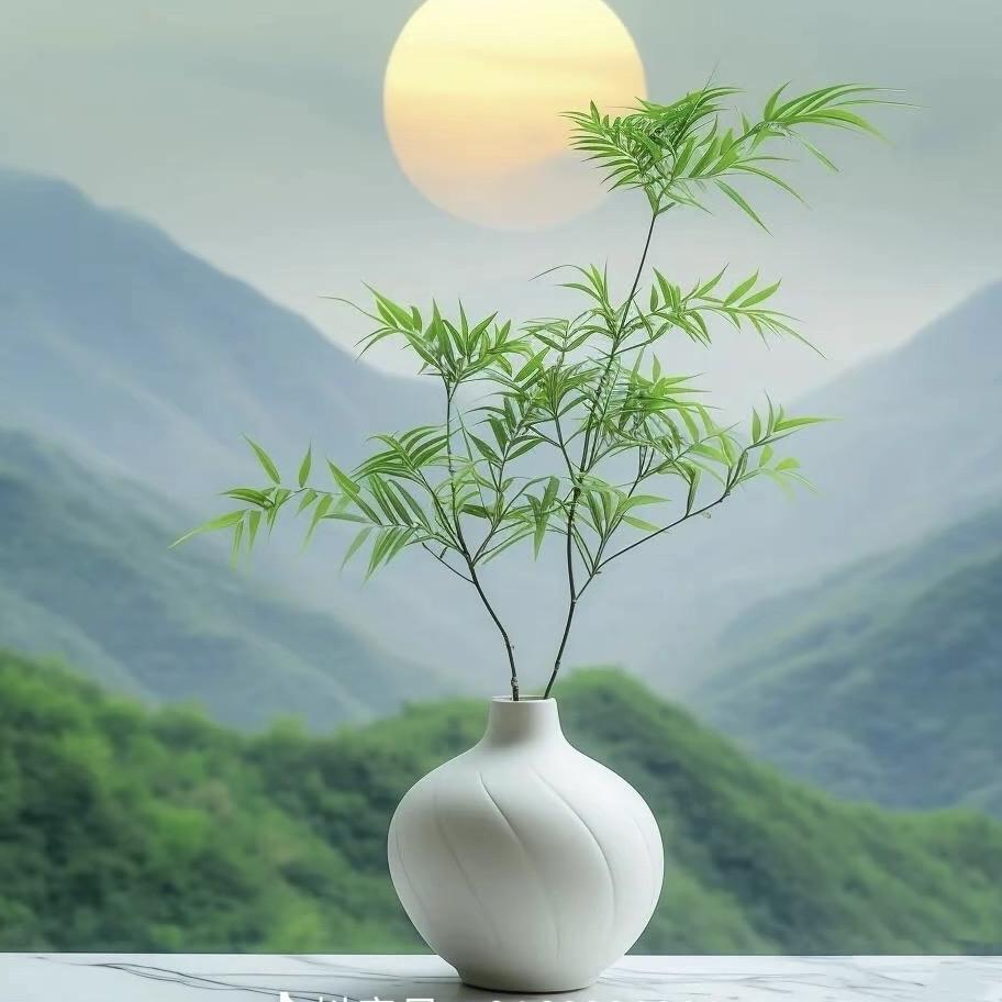 ⒈苼の⒎待