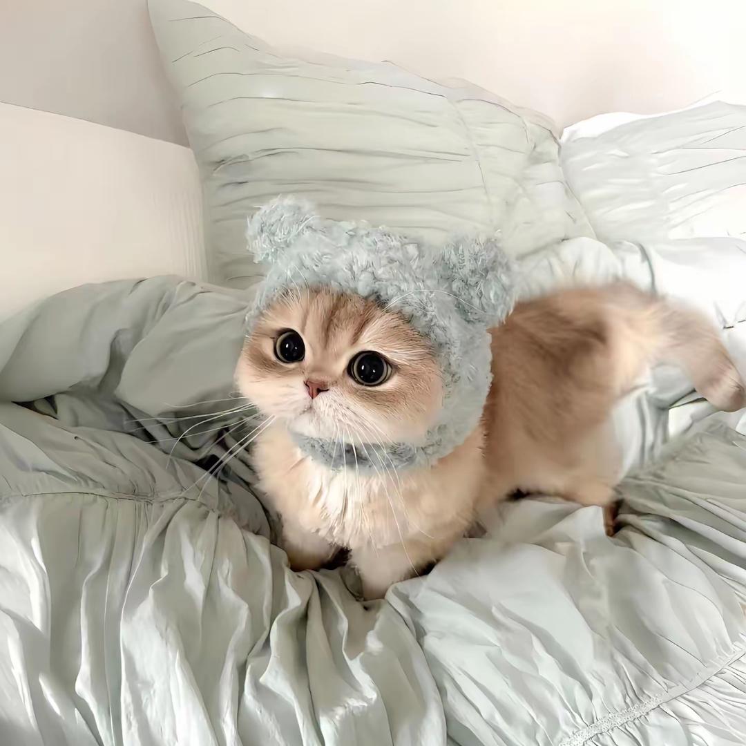 三针都科兴头像