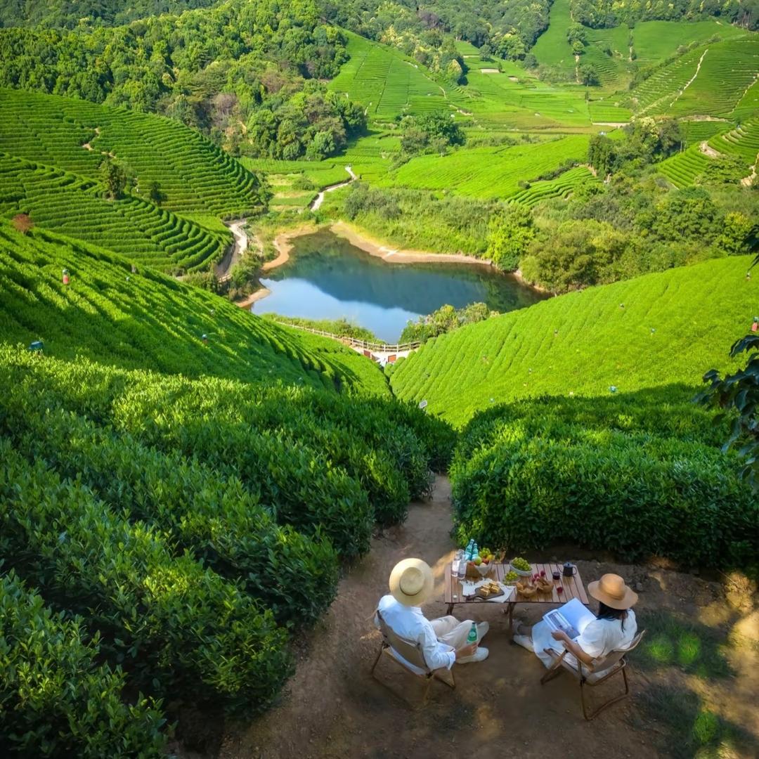 文成县嘉茗茶叶有限公司