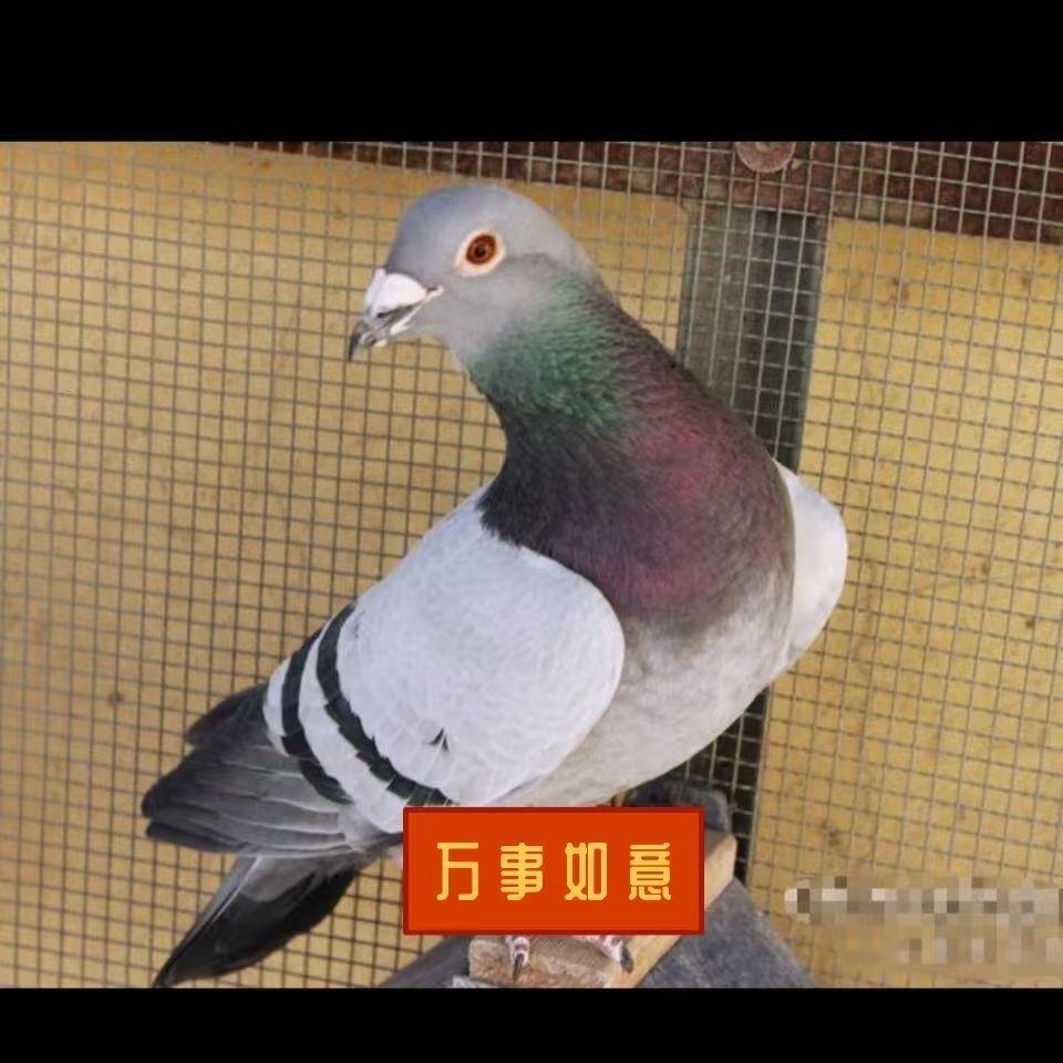 一关上岸