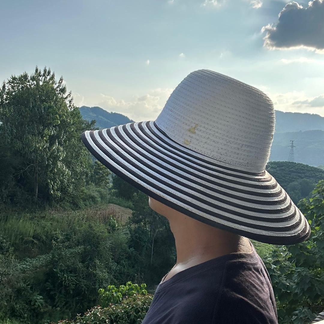 一何阿坝中蜂