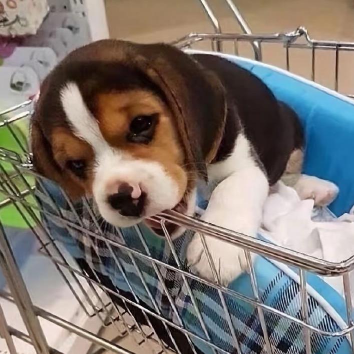 维权不成功不改名