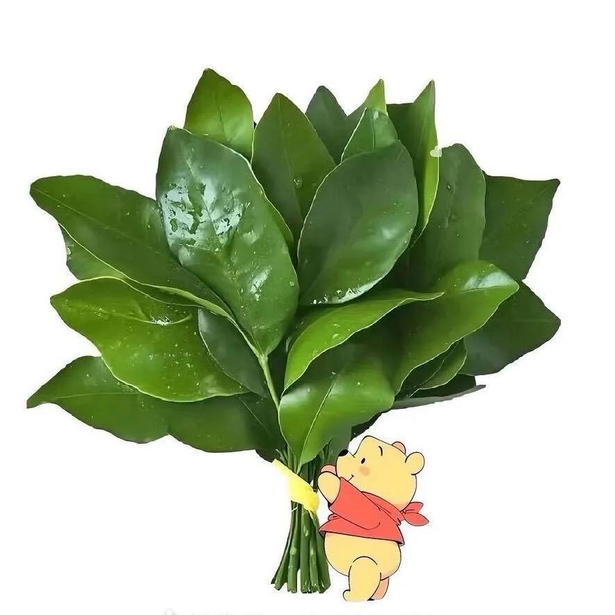 Ｙ.
