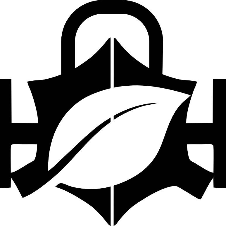 大师兄臊子扯面