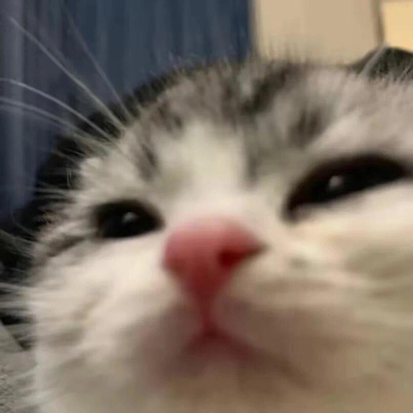 太困睡