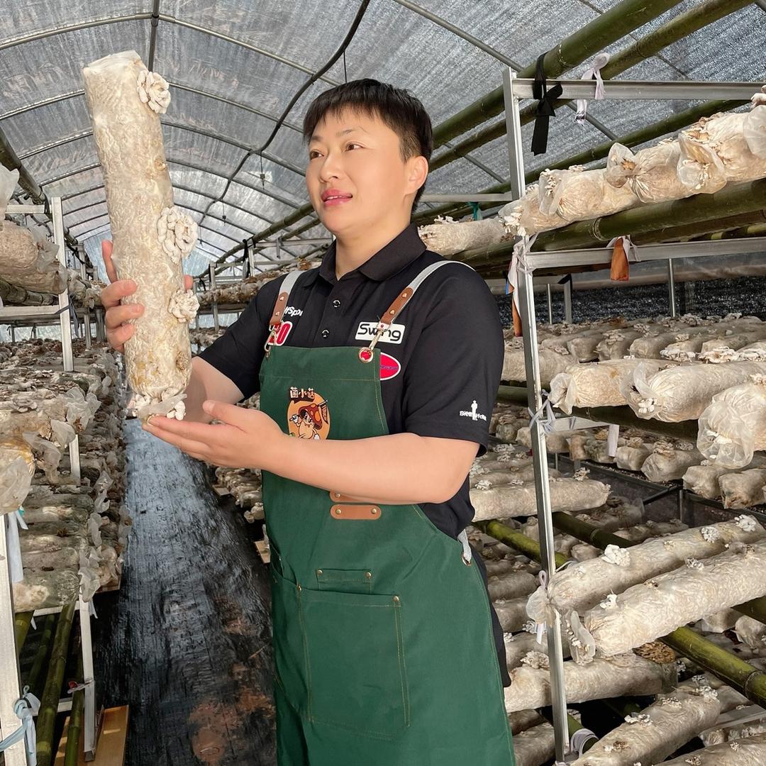 小林姐的菌小菇（蘑菇园）