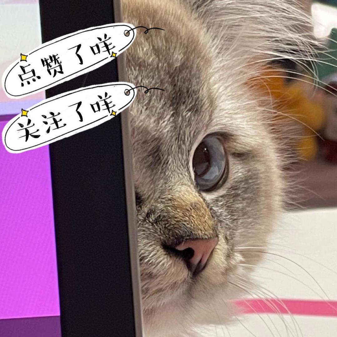 啊酥怪心动的捏