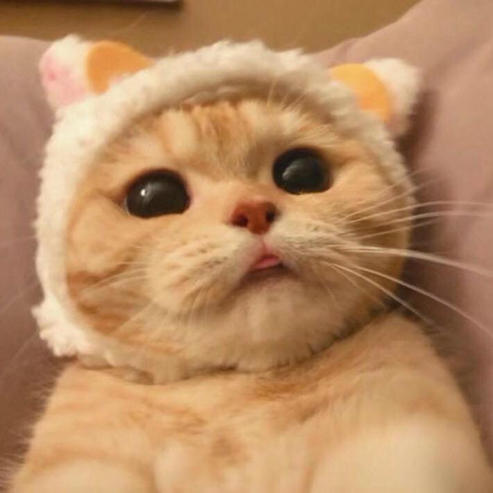 人 性