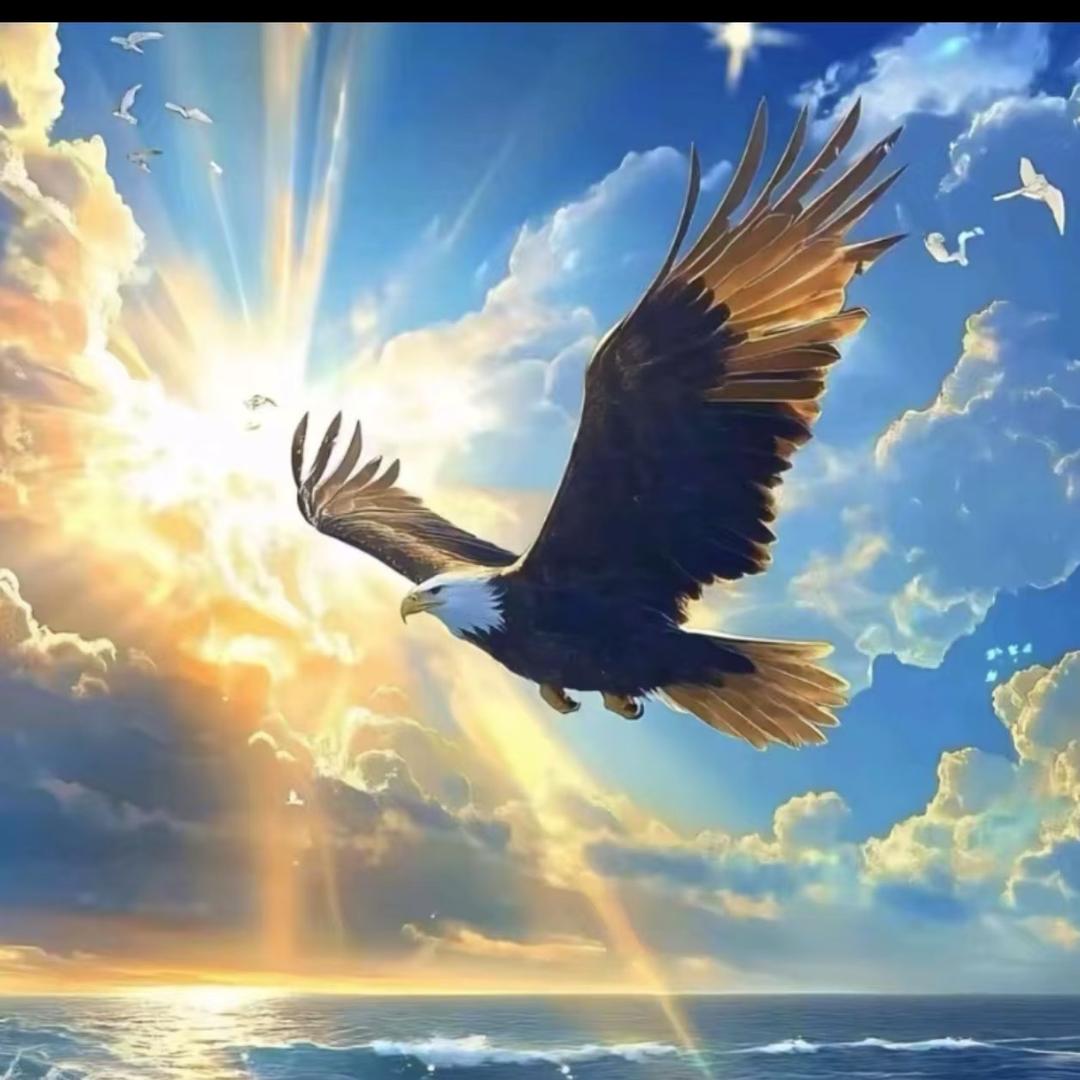 @🇨🇳飞鹰🇨🇳