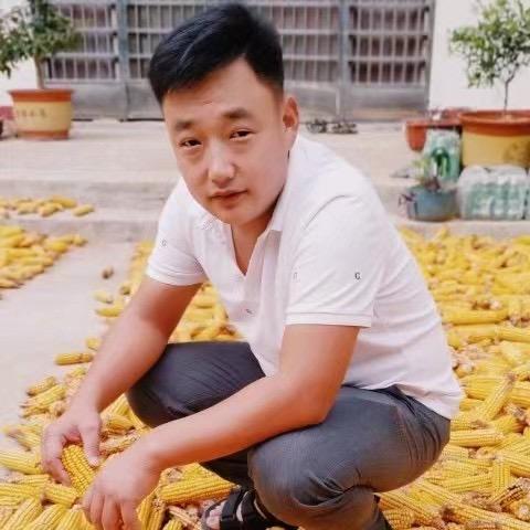 小鲁哥卤味摆摊记