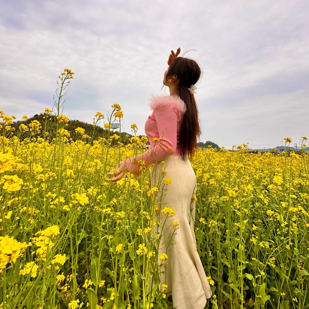 小绵羊💫