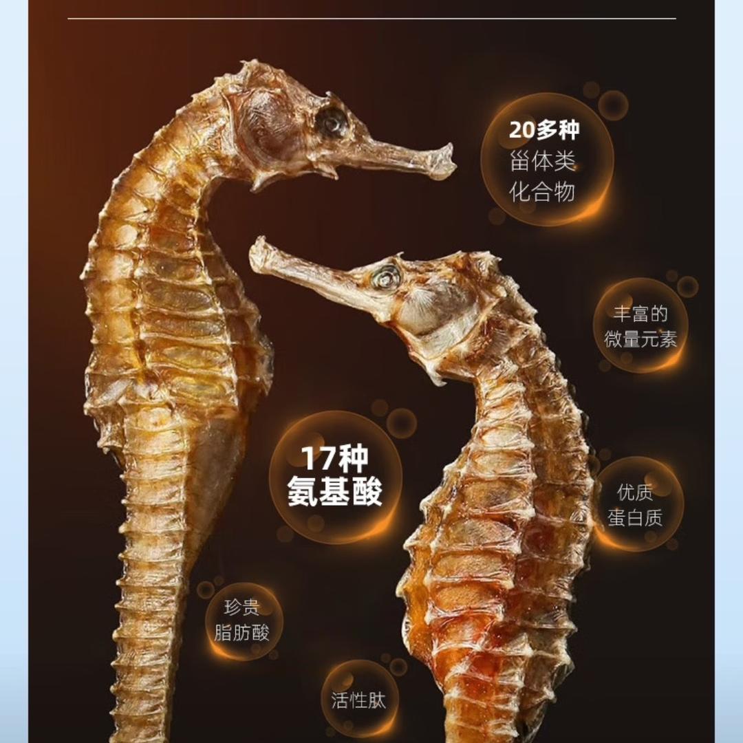绅蓝生物科技海马体验馆